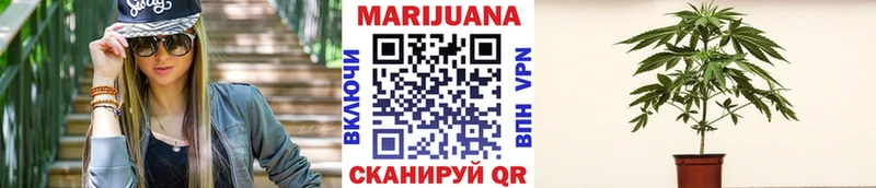 Псилоцибиновые грибы Малмыж