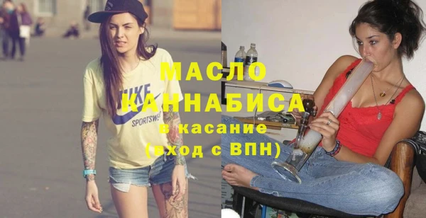 мдпв Бородино
