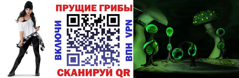 Галлюциногенные грибы MAGIC MUSHROOMS Купить закладки Малмыж
